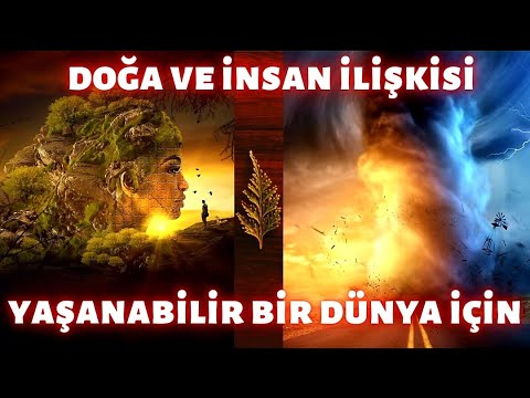 Ekoloji ve Ekosistem; Doğru Hayatın Kaynağı