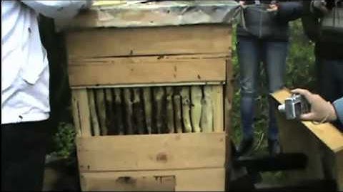 Alfredo Cabrera shows his Perone hive in Oscar Perone