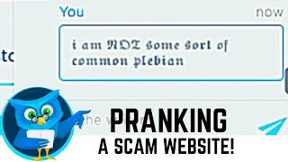 We Troll Edubirdie Customer Support