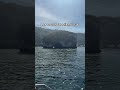 Los Arcos de Mismaloya #reservanatural #vidamarina #arcosdemismaloya #arcos #puertovallartamexico