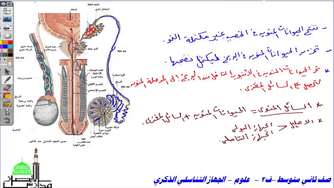 متوسط ثاني ملخص ف1 علوم ملخص علوم