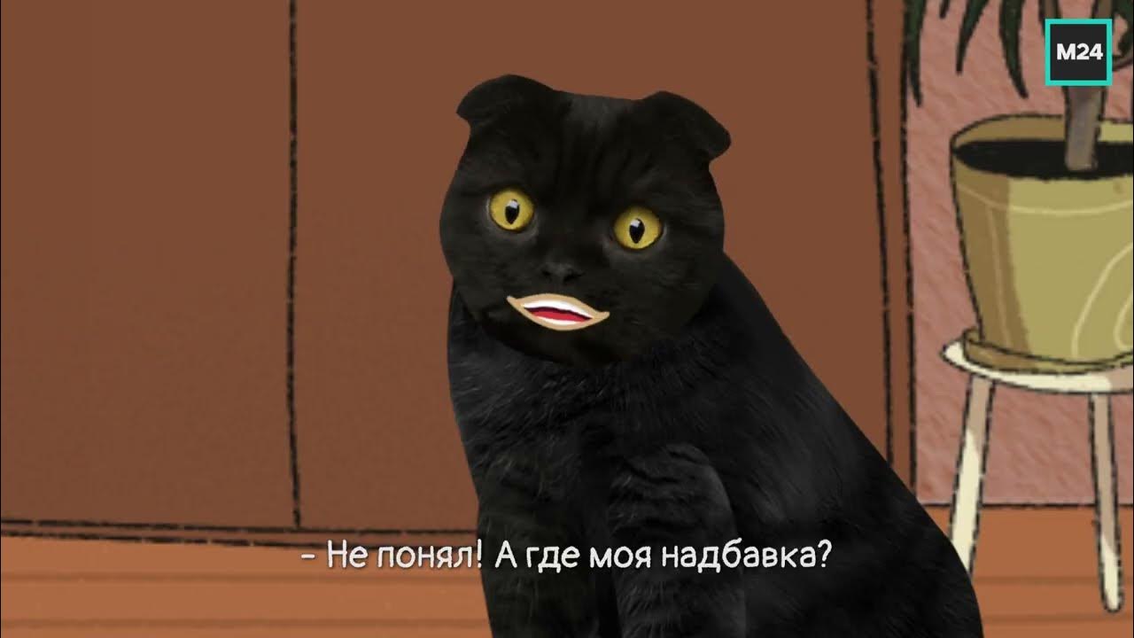 кот бублик. бублик москва 24. кот бублик м24. бублик москва 24. кот бублик.