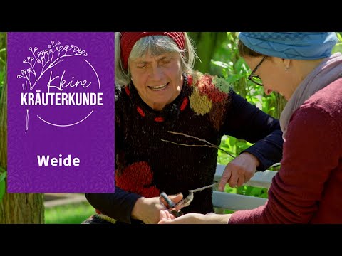 Video: Kannst du Weide sprühen?