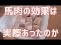 馬肉とドッグフードの半々１ヶ月生活の結果
