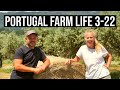 ORGANIC VEGETABLES and Tractor Harvest | PORTUGAL FARM LIFE S3-E22 ⚡