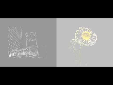 名前シレズ - normality