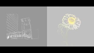 名前シレズ - normality
