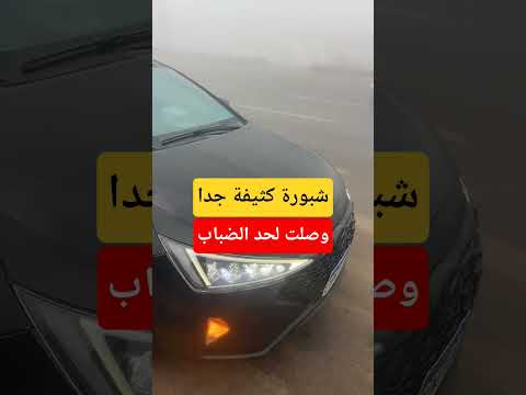غطت الشبورة الكثيفة عددا من الطرق المصرية لا سيما الطريق الصحراوي مصر الإسكندرية