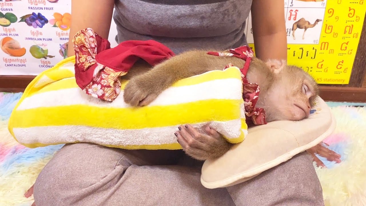 Cutie Judee Xttemely Peaceful Napping With Her Mom Comf0rt