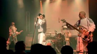 Chili Pepes Tribute - Live