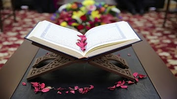 #القرآن الكريم  آيات بينات من سورة "الفتح"