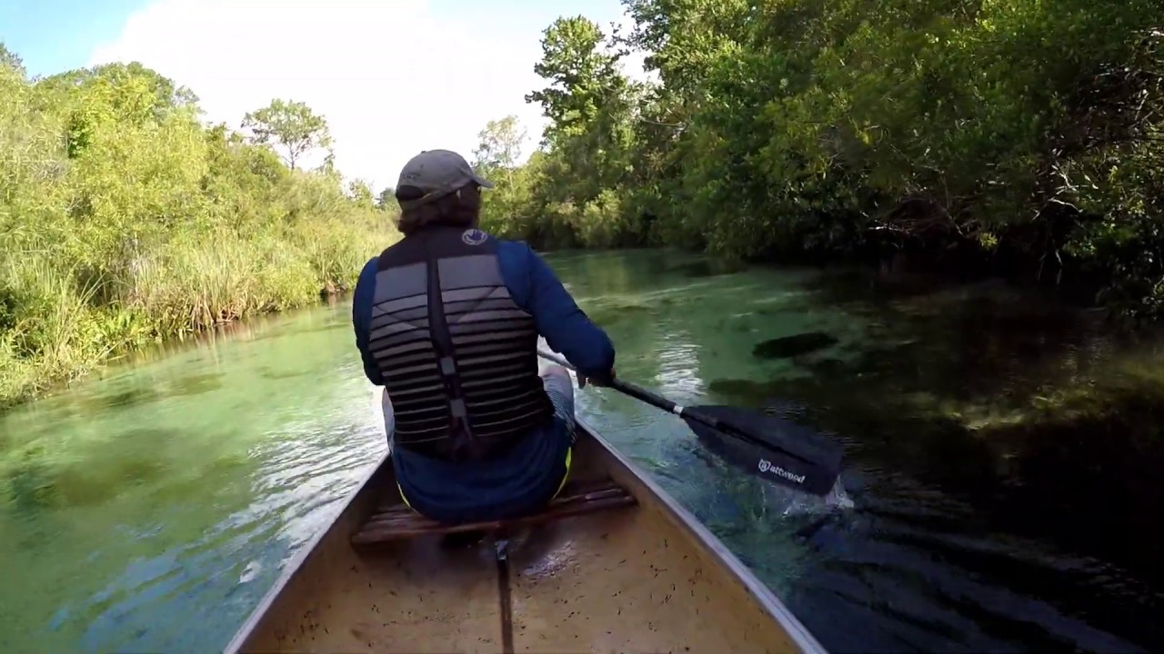 Weeki Wachee'S Wildlife (Manatees, Gators,And More!) 2Wildboys -Ep30