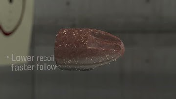 NXD - Non-Expanding Defense Ammunition