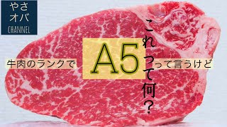 【牛肉のランク付けの秘密】A5の牛肉が必ずしも美味しいわけじゃないって知ってました？？