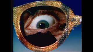 VPRO (1972 - 1981)