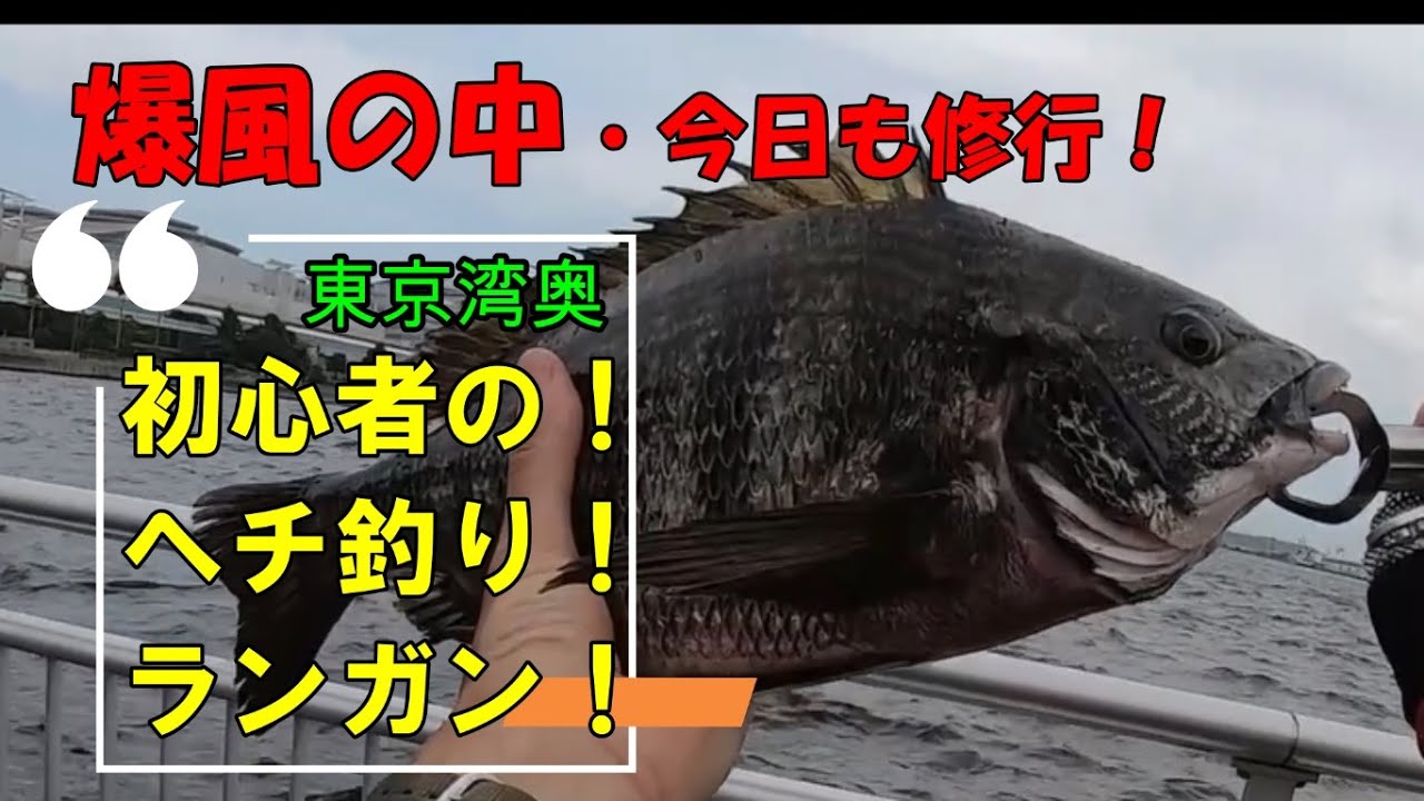 チニングロッドで初心者のヘチ釣り「爆風の中」 - YouTube