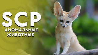 Мимики SCP [Совсем не то, чем кажется]