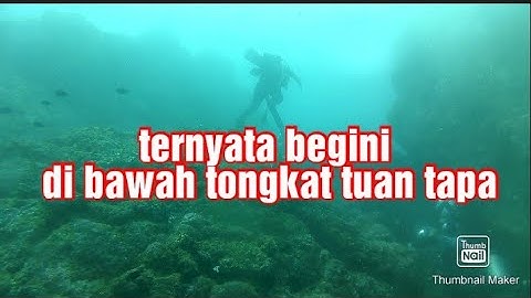 TONGKAT TUAN TAPA DARI DASAR LAUT PART2 TAPAKTUAN ACEH SELATAN