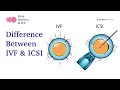 What is the difference between IVF &amp; ICSI ? | Birla Fertility &amp; IVF
