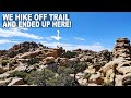 Dont do this  hidden valley nature trail most popular hiking trail in joshua tree national park