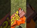 Reese's Chocolate Sticks