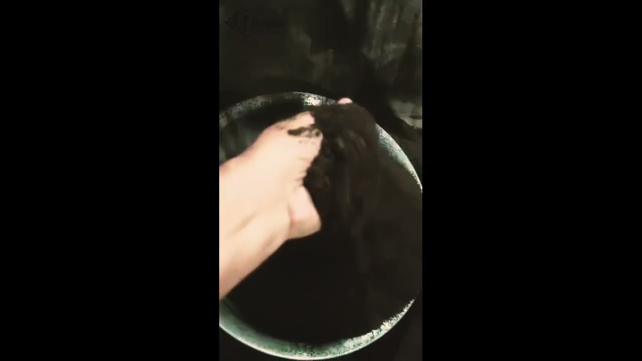 Organic Fertilizer Manufacturing | এখানে তৈরি হয় প্রাকৃতিক জৈব সার | Dolphin Crop Factory Visit