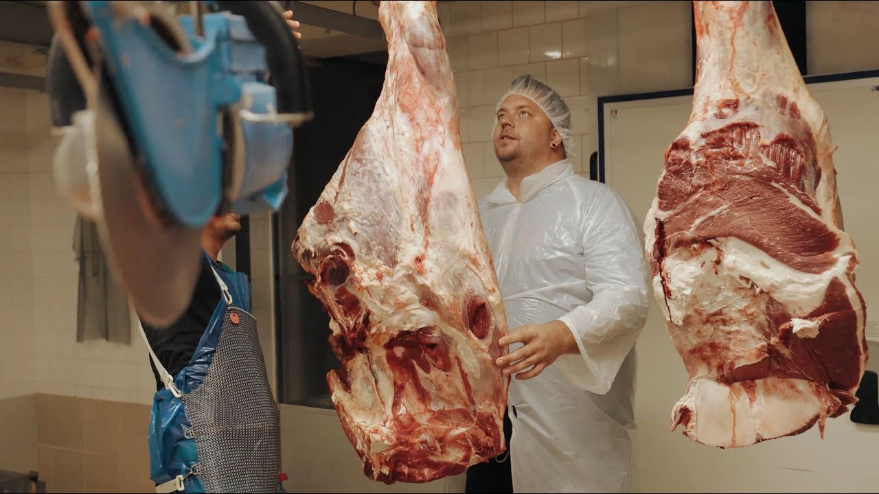 12. díl - BORKOVA SHOW - Boršč