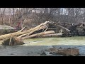 Blackiston Mill Dam Failure Clarksville, Indiana 2-27-2025