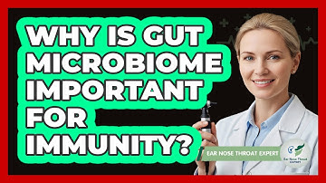 Why Is Gut Microbiome Important For Immunity?