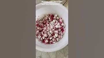 Multi-Functional Onion Cutting Machine for Ring Dice