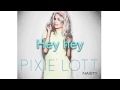 Pixie Lott - Nasty (lyrics)