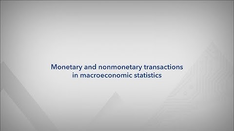 Monetary and nonmonetary transactions in macroeconomic statistics