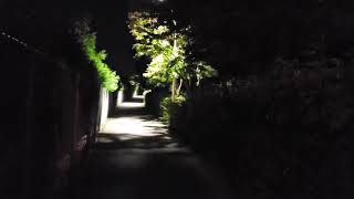 Sidelit Treetrail.