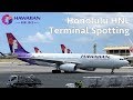 Honolulu HNL - Daniel K. Inouye Intl - B738, A332, B737, A321, B739, B764, B763, B772