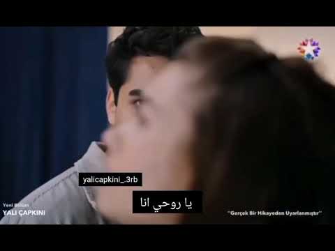 فريد حكى ل سيران أنه سونا هاجمت بيلين وردة فعل سيران طائر الرفراف