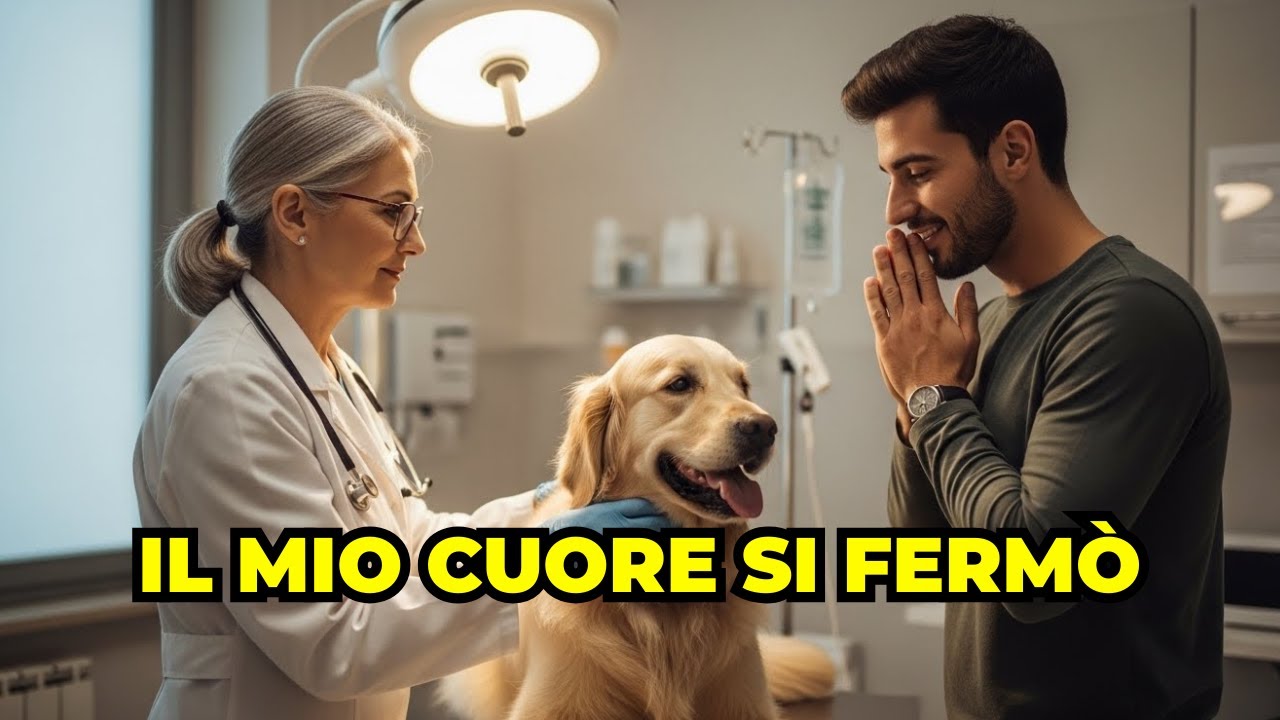 La veterinaria di 61 anni ha scoperto il segreto enorme del ragazzo di 29 anni con il cane ferito