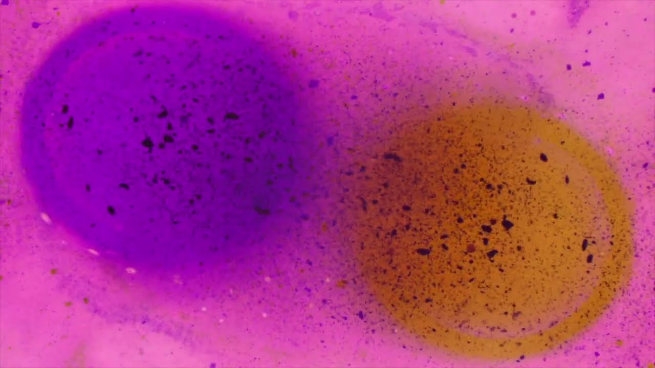 Assista a ÅNDfØLK - Num Num (Official VIsualiser) no YouTube Assista a ÅNDfØLK - Num Num (Official VIsualiser) no YouTube