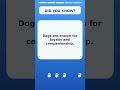 Fun Dog Fact for Dog Lovers