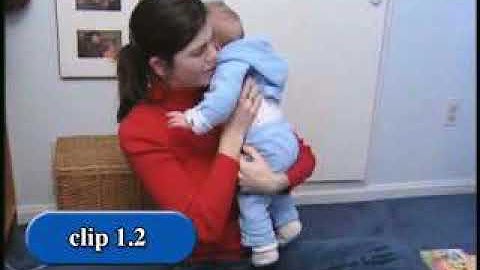 CSEFEL Clip 1.2 Supporting Regulation