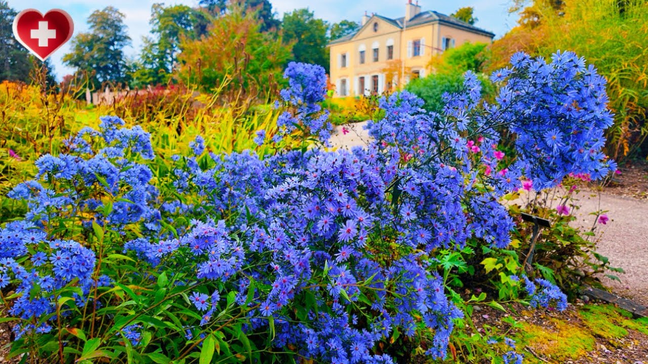 Прекрасная осенняя прогулка в Женевском ботаническом саду 🇨🇭 | Цветы, краски и моменты покоя [4K]