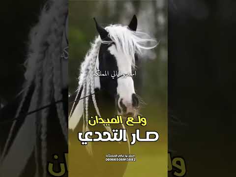 صار التحدي ولع الميدان غناء صغير الغريب بشاير الفيلكاوي 