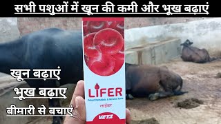 Use Vetenary Lifer Use Cattle Lifer पश म खन क कम क पर कर पश क भख कस बढए