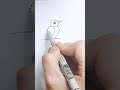 كيفية رسم طائر سهل للاطفال عصفور Birds 