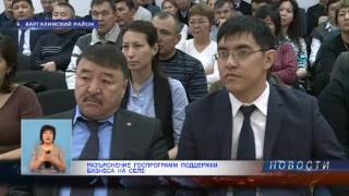 Разъяснение Госпрограмм Поддержки Бизнеса На Селе