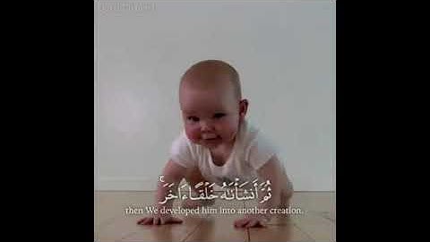 ولقد خلقنا الانسان من سلالة من طين -المقرئ ماهر المعيقلي -سورة المؤمنون-