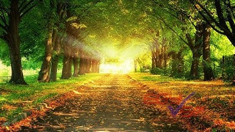 سورة الرحمن - القارئ الشيخ / أحمد غريب