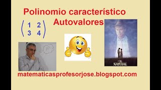Polinomio Característico. Autovalores, Valores Propios. Matriz Grado 2