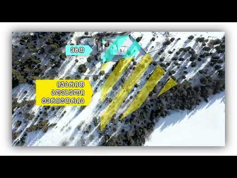 მთავრობის სტრატკომი ბაკურიანში, პრემიერის ოჯახისთვის ტყის გადაცემაზე განცხადებას ავრცელებს