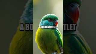 Pocket Titans The World’s Smallest Pets Revealed