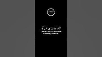 كروما قران خلفية سوداء للقارئ رعد الكردي ( ربُّكم أعلمُ بِما في نُفُوسِكُم ) #كرومات